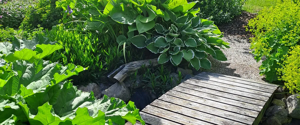Öppen trädgård och trädgårdscafé