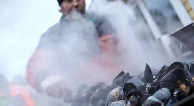 Musselsafafri i Bohuslän