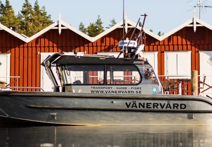 Vänervård