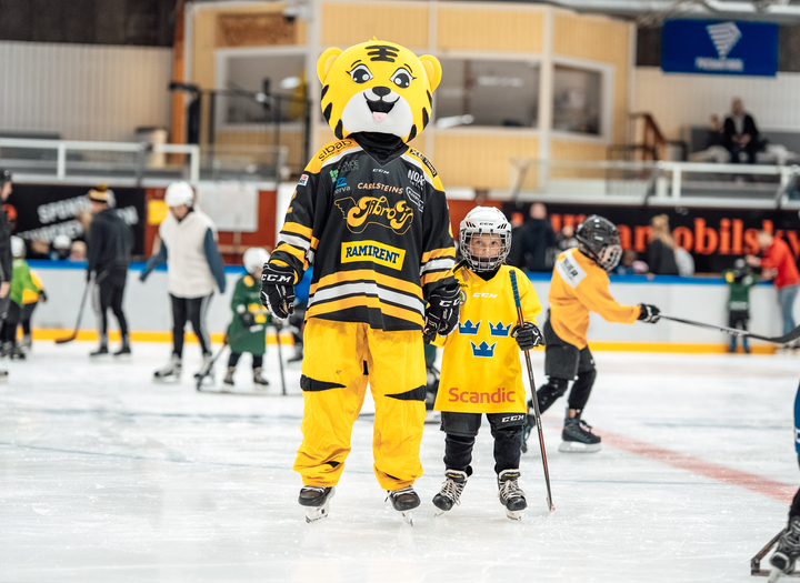 Tre Kronors Hockeyskola