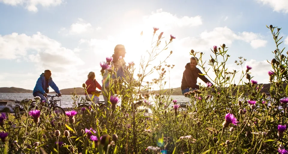 blommor i fokus med personer som cyklar i bakgrunden.