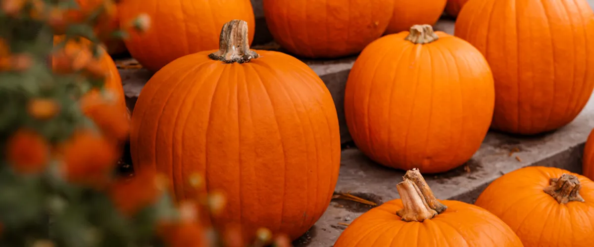 Halloween stämning på stan