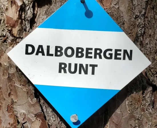 En blå och vit skylt som sitter på ett träd.