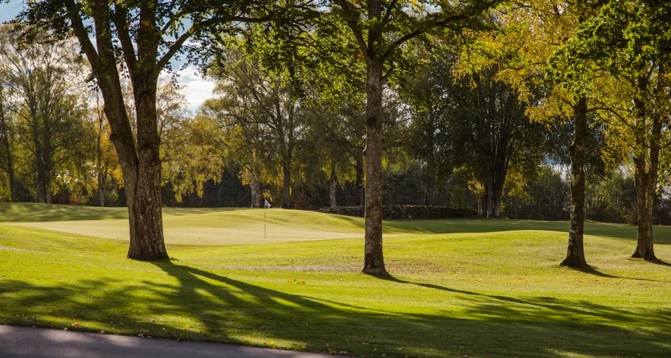En golfbana omgiven av träd på en solig dag.