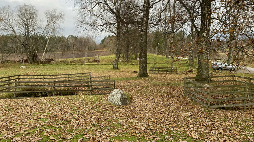Brätte: visning av utställning och vandring i fält