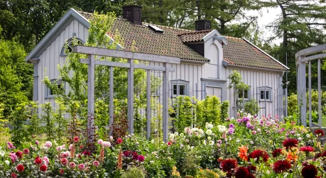En trädgård med ett hus i bakgrunden.