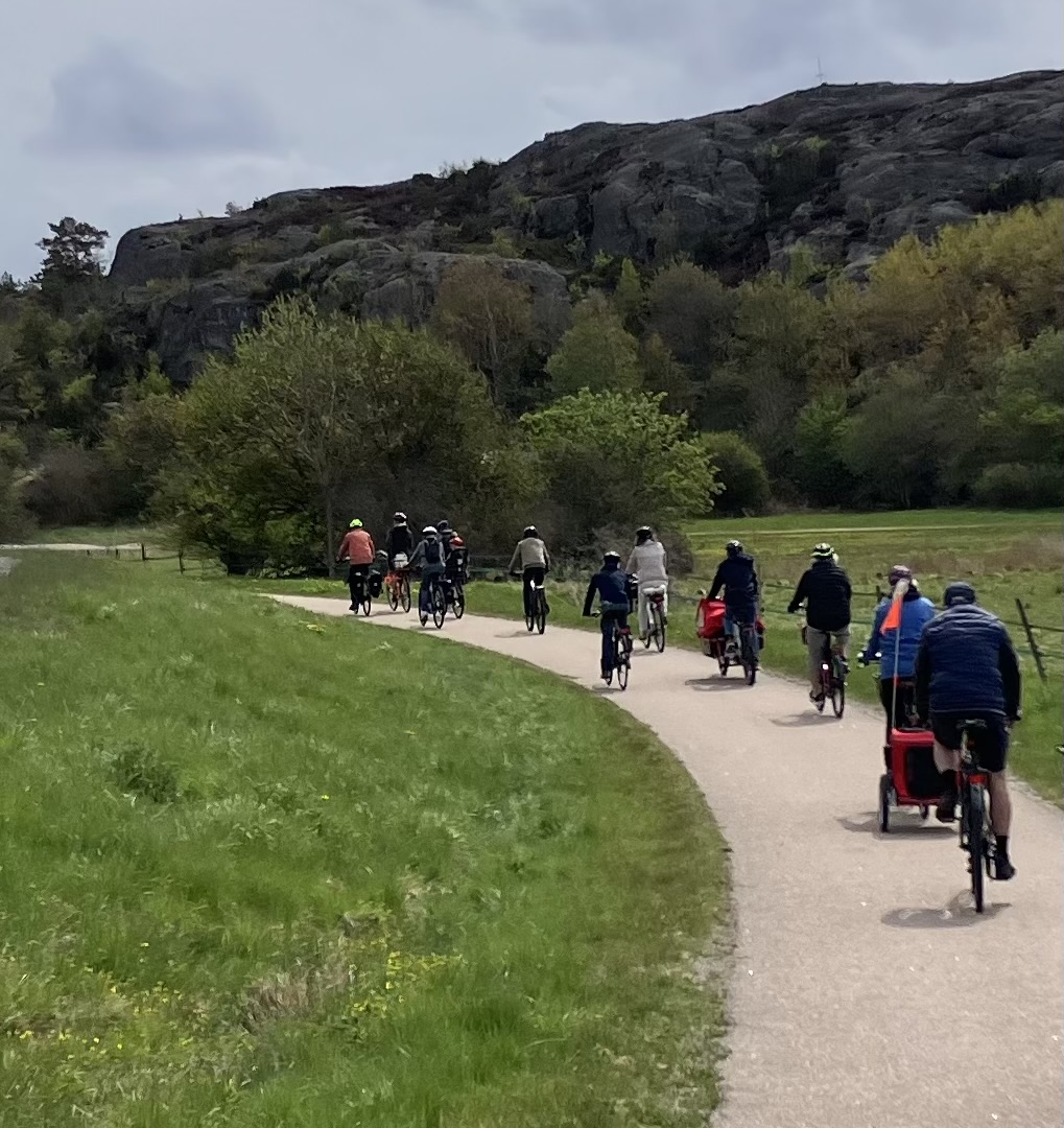Cykla till sillen