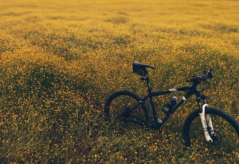 En bild på en mountain bike som står parkerad på ett fält med blommande gula blommor