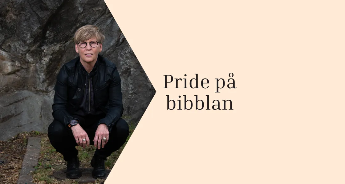 FÖRFATTARBESÖK 