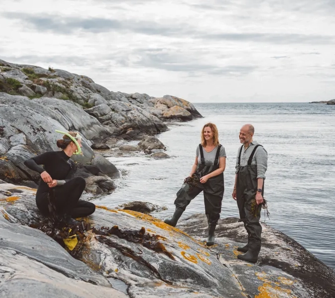 Grupp av människor lär sig om tång.