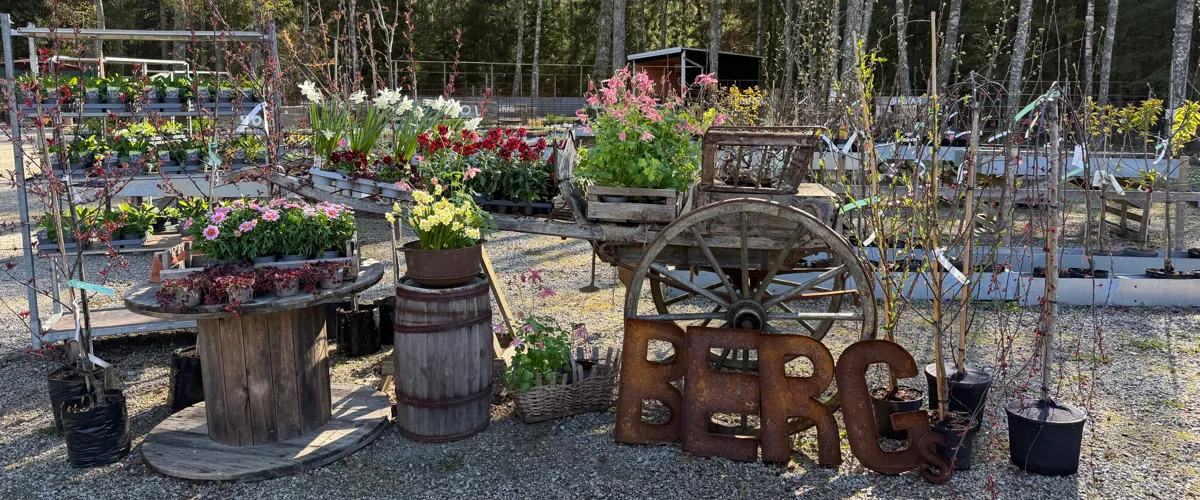 Bergs handelsträdgård