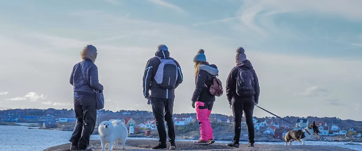 Björkö vandring i november