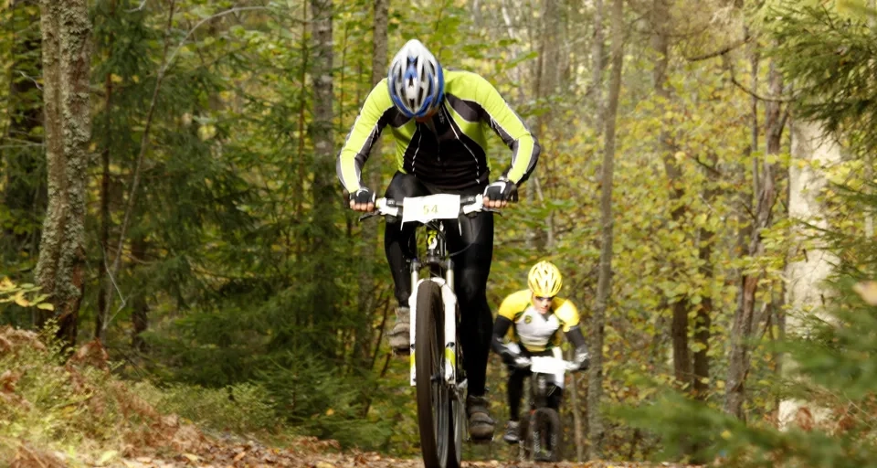 Två MTB cyklister tävlar på bana i skogen en vårdag i solen