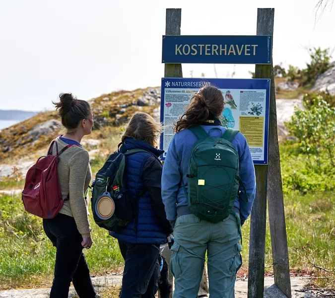 Tre kvinnor med ryggsäckar pausar vandringen och läser en infoskylt i Nästången, Kosterhavets Nationalpark