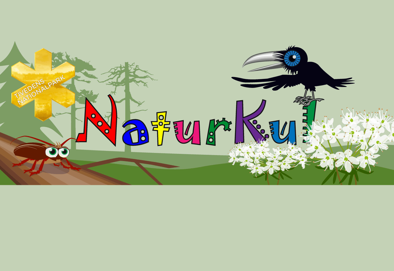 Naturkul på höstlovet