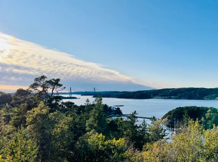 Uddevallabron med skog framför 
