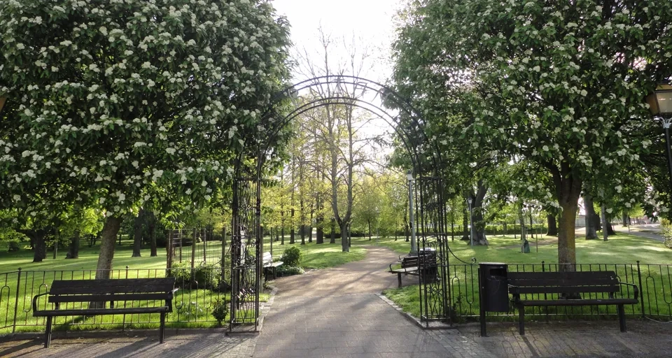 Ett parkområde med bänkar och träd.