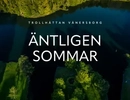 En flygbild av ett vattendrag omgiven av träd.