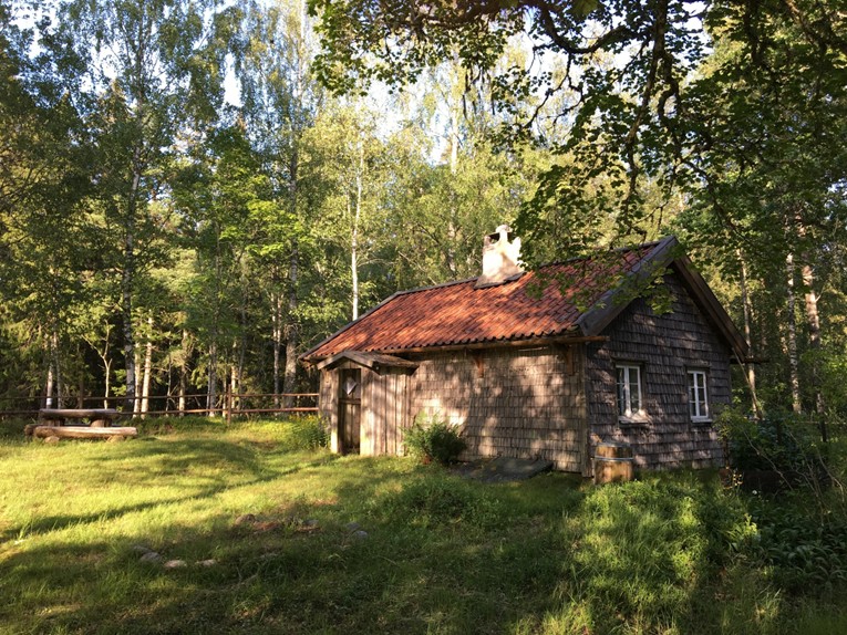 Slåttergille på Sandhult Risveden