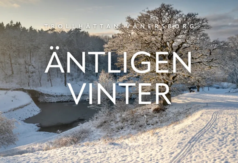 Träd i snölandskap