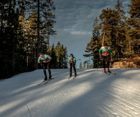 En grupp människor som åker skidor nedför en snötäckt sluttning.