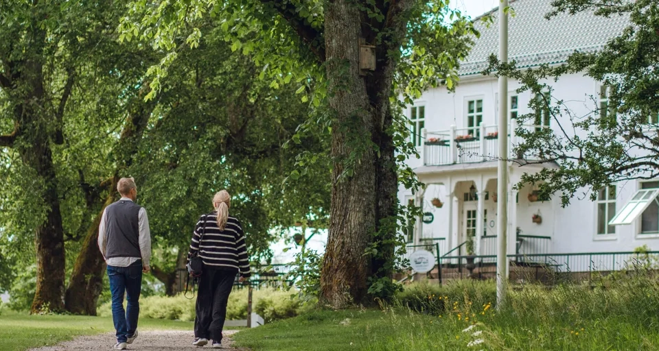 Människor som promenerar i skogsmiljö.