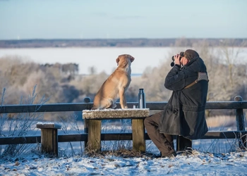 Vinter vid Hornborgasjön
