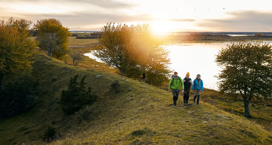 Tre personer vandrar på en ås i solnedgången. Bakom dem syns Hornborgasjöns blanka vatten.