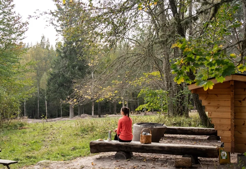 Eine Person, die auf einer Bank im Wald sitzt.