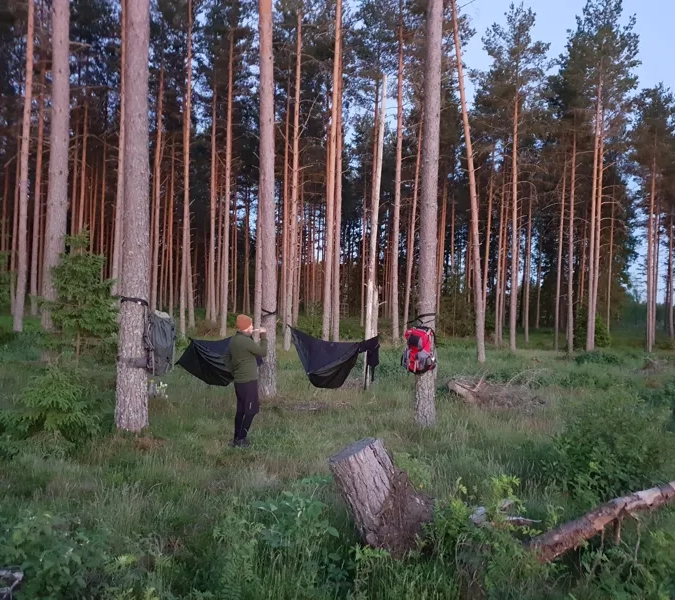 A couple of people standing in a forest with hammocks.