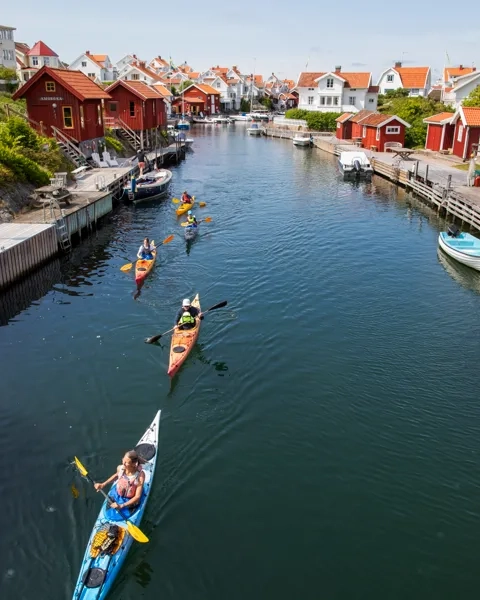 En grupp människor i kajaker paddlar nerför en flod.