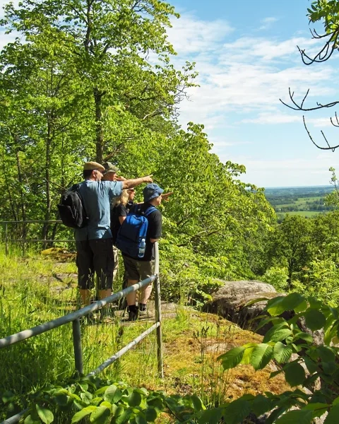 En grupp människor som står på toppen av en grönskande sluttning.