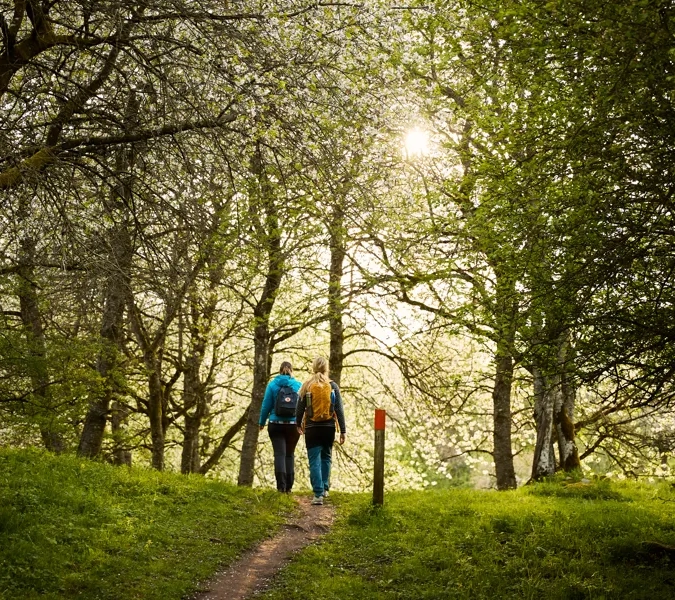 Vandring vid Höjentorp