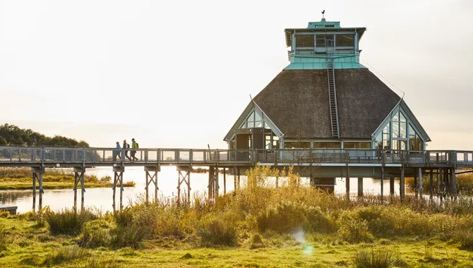Vandring vid Hornborgasjön