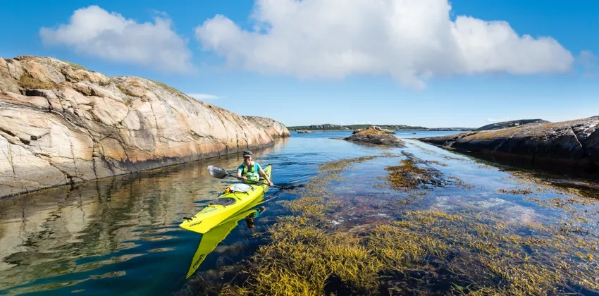 En man i en gul kajak på vattnet.