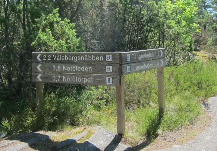 Guidad vandring vid Yttre Bodane