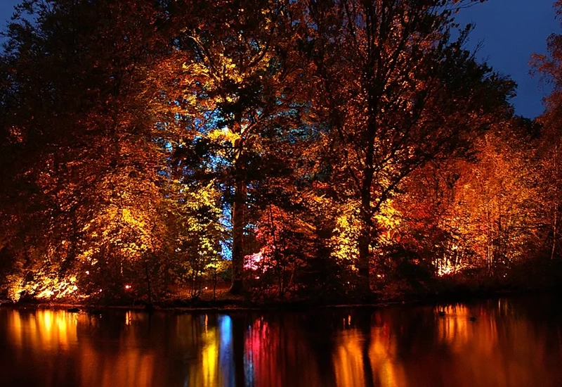 En sjö med träd som lyser upp på natten.