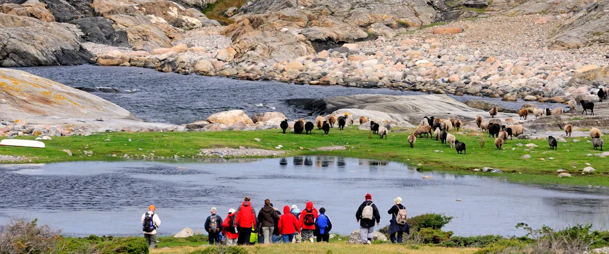 Guidad vandring på Nordkoster