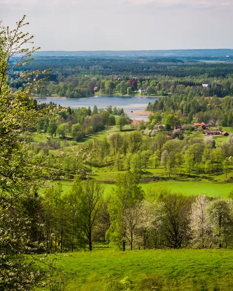 Utsikt över Valle med gröna ängar, körsbärsträd som är på väg att slå ut, sjöar och långt bort i horisonten syns berget Kinnekulle och Vänern.