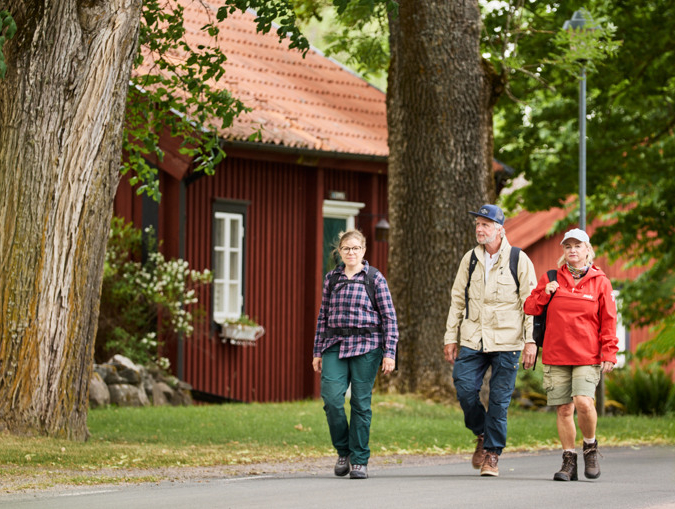 Eine Gruppe von Menschen, die neben Bäumen eine Straße entlanggeht.