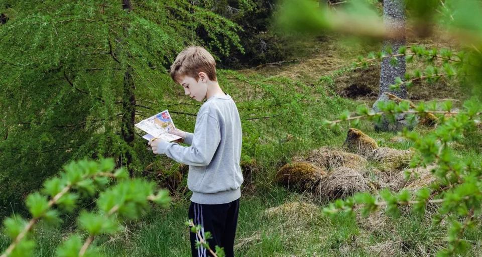 Ein Junge steht im Wald und liest ein Buch.
