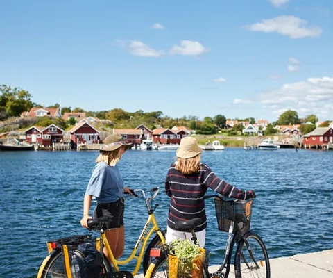 A couple of people riding bikes next to water.
