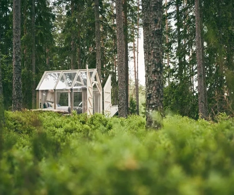 Ett glashus mitt i en skog.