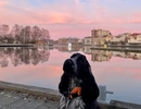 Hund på brygga i solnedgången