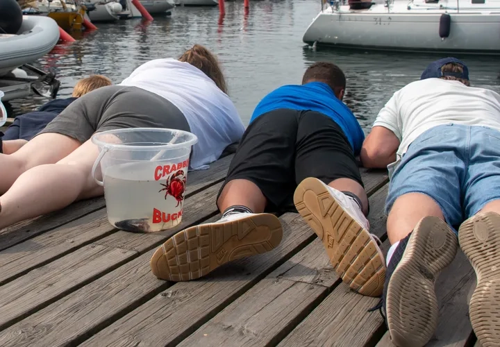Barnens dag med krabbmetetävling