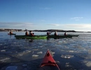 En grupp människor i kajaker paddlar på is.