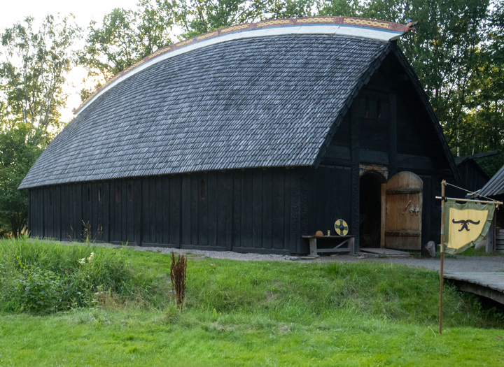Ett nytjärat vikingatida långhus omgivet av gräs och grönskande träd.