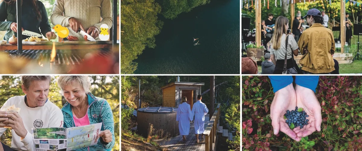 Tema för Dalsland 2026 kollage