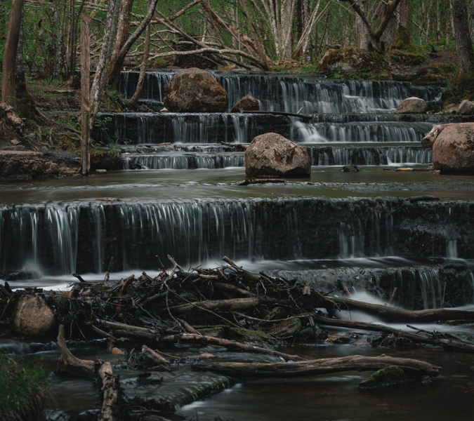 A small waterfall in the middle of a forest.