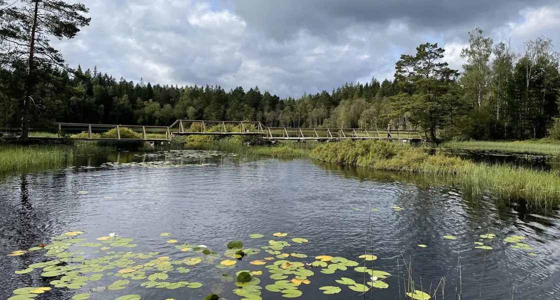 Store-Malen runt